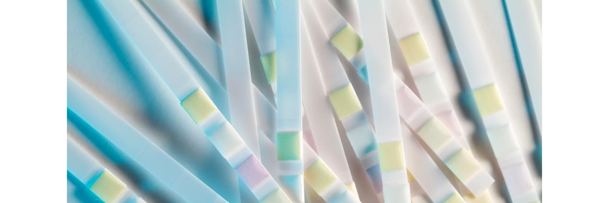 Test Strips