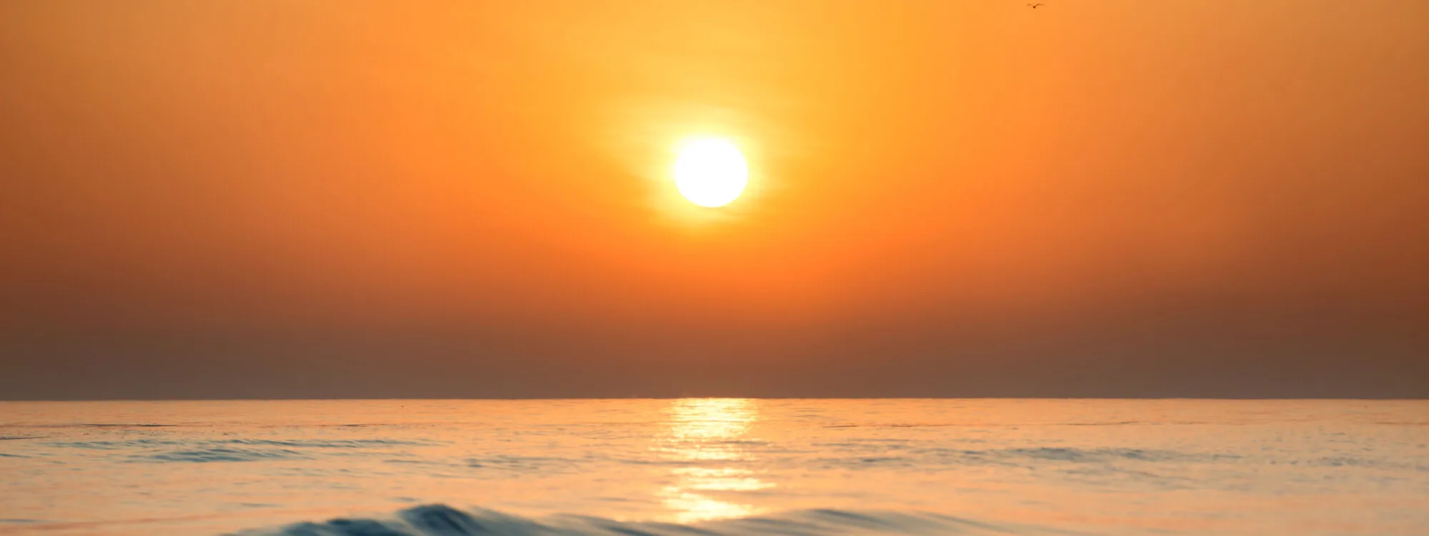 Sun and SOUL™